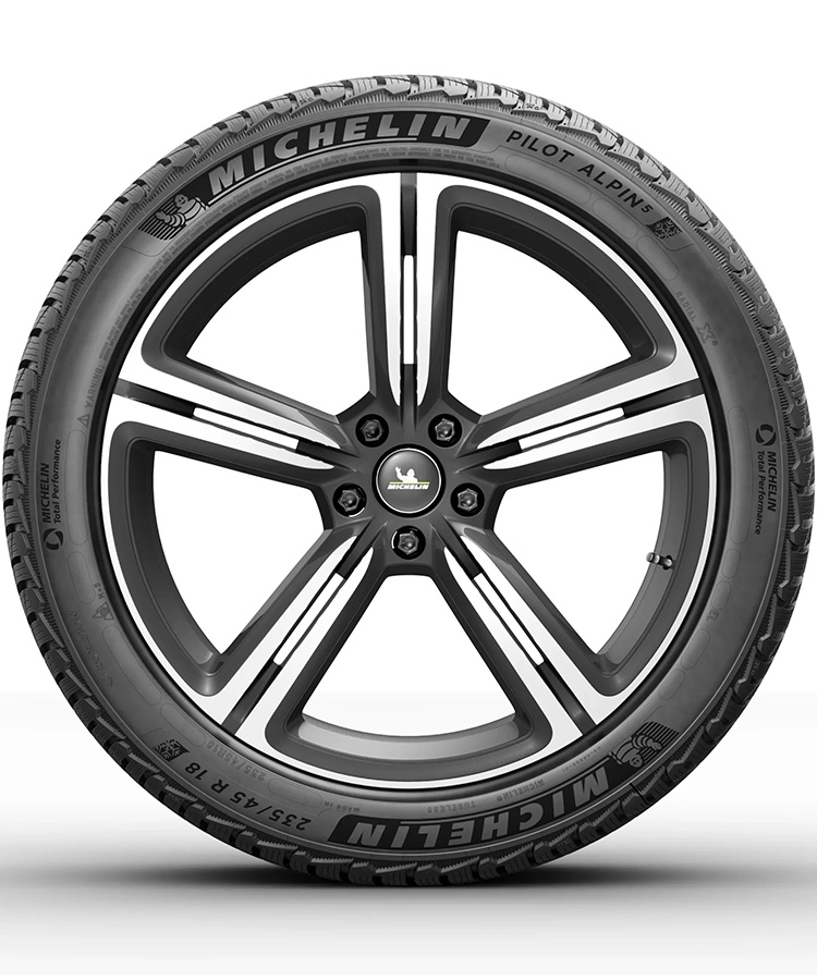 Michelin Pilot Alpin 5 заказать