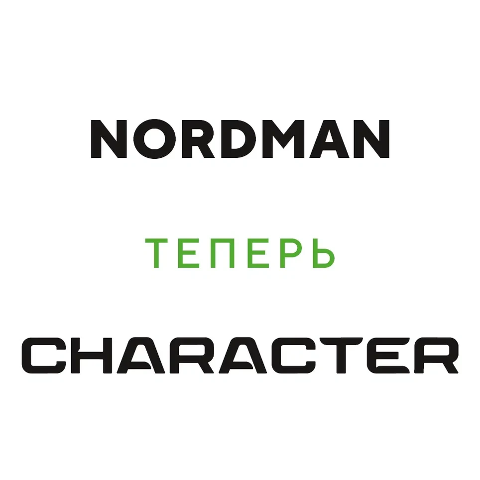 Ikon (Nokian Tyres) Character Eco (Nordman SX3) 195/50 R15 82H цена