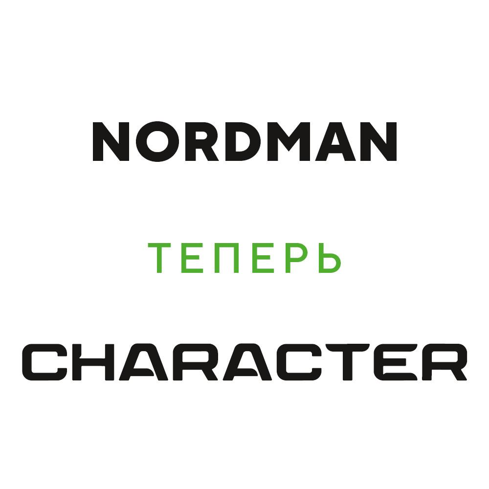 Ikon (Nokian Tyres) Nordman 8 205/55 R16 94T (XL) цена