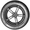 Ikon (Nokian Tyres) Autograph Ice 9 заказать