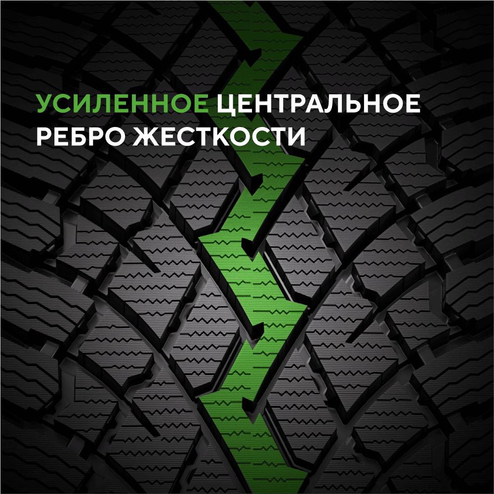 Ikon (Nokian Tyres) Autograph Snow 5 заказать